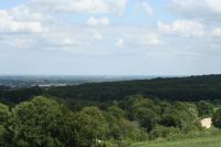 Sommerfest Baumberge 2010.1 598